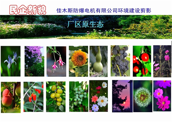 �S�^(q��)���B(t��i)�@ˇչ.jpg